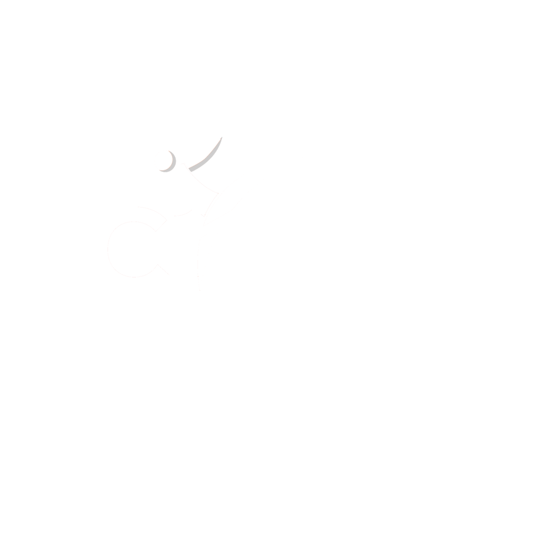 RYUCENTREGIRONA
